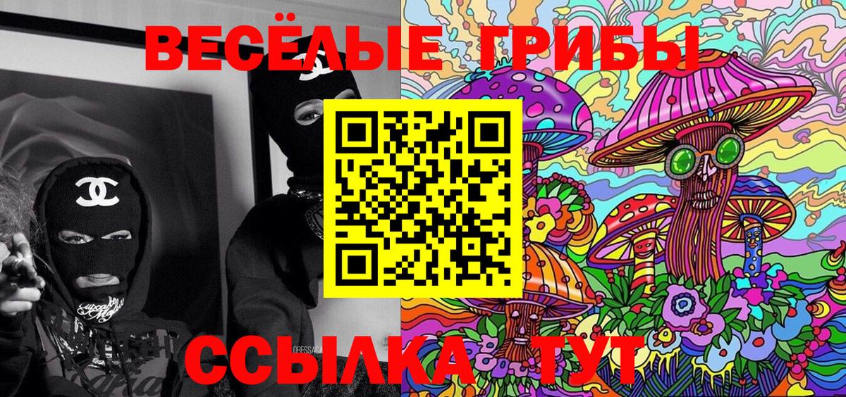 Галлюциногенные грибы Psilocybe  Вход с VPN  Баксан 